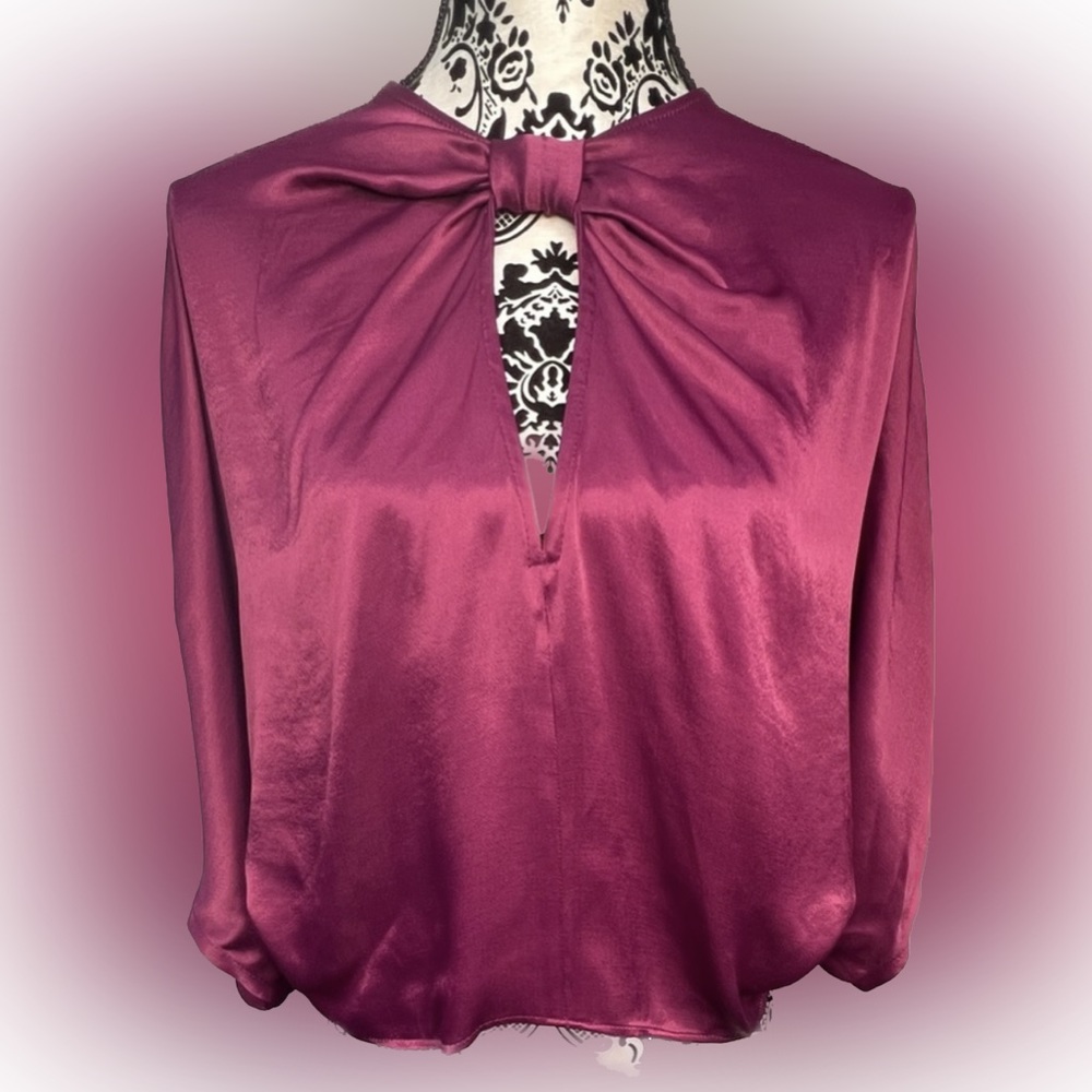 NWT ZARA Satin Top Medium